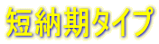 �Z�[���^�C�v 