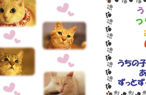 写真陶板制作例～ペット写真ネコちゃん