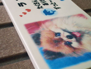 写真陶板制作例～ペット写真ポメラニアン