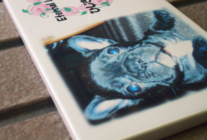 写真陶板制作例～ペット写真フレンチブルドッグ