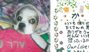 写真陶板制作例～ペット写真