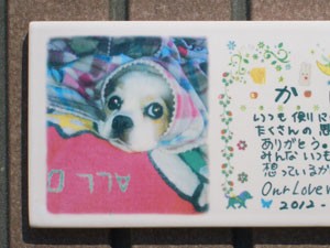 写真陶板制作例～ペット写真