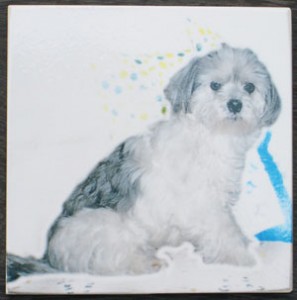 写真陶板制作例～ペット写真