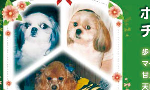 写真陶板制作例～ペット写真