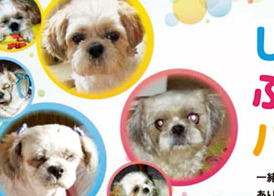 写真陶板制作例～ペット写真