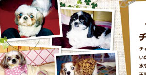 写真陶板制作例～ペット写真