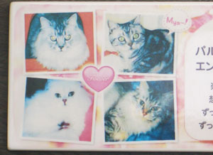 写真陶板制作例～ペット写真