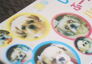 写真陶板制作例～ペット写真