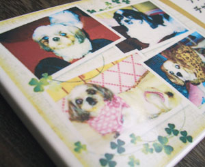 写真陶板制作例～ペット写真