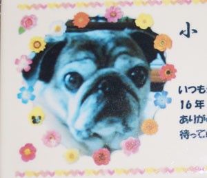 写真陶板制作例～ペット写真