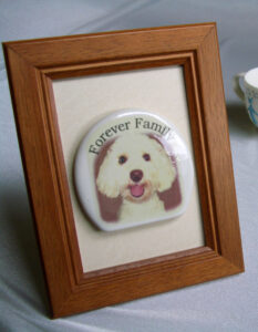 ハッピーファミリーウイズペット